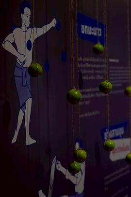 ภาพถ่ายนิทรรศการ ชุด ทางมวยอวยไทย